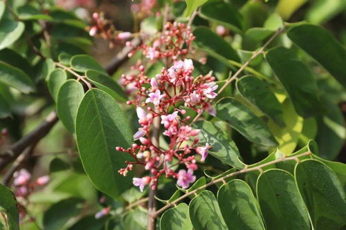 遇見陽光 東區田園農莊，一場與光的詩意對話